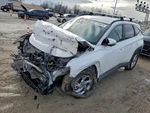 (local Pickup Only) Trunk/hatch/tailgate Korea Built Led Lamps Fits 22-24 Tucson. Fixed Price $2394.00.