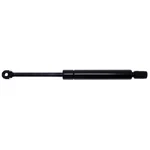 Trunk Lid Lift Support Strong Arm 4508. Fixed Price $29.17.