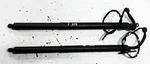 2011-2017 Bmw F25 X3 Left & Right Liftgate Strut Shock Cylinder Support Oem. Fixed Price $89.90.