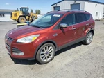 Right Hatchback Strut Oem 2015 Ford Escape. Fixed Price $75.00.