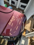 Trunk/hatch/tailgate Fits 19-25 Passport 300767. Fixed Price $1960.00.