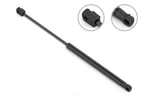 Trunk Lid Lift Support-sedan Stabilus 5B-215822. Fixed Price $52.99.