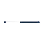 Acdelco 510-1183 Professional Trunk Lid Lift Support. Fixed Price $53.34.
