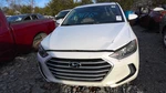 17 18 Hyundai Elantra Trunk/decklid/hatch/tailgate. Fixed Price $760.75.