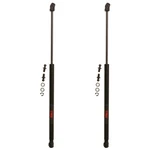 SET-TRWTSG304021-2 Of Liftgate Supports Driver & Passenger Pair. Fixed Price $56.11.
