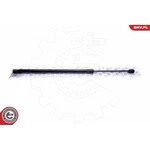 Gas Springs Trunk Lift For Bmw 51247178273 New. Fixed Price $20.99.