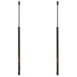 SET-TRWTSG230115-2 Trunk Lid Lift Supports Of Driver & Passenger Pair. Fixed Price $47.98.