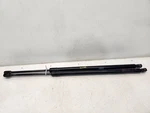 2014 Dodge Caravan Sxt Rear Hatch Struts *pair*. Fixed Price $44.49.