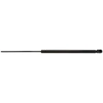 Back Glass Lift Support Strong Arm 4219. Fixed Price $26.23.