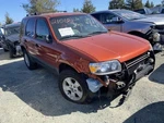 2002-2007 Ford Escape Rear Back Trunk/hatch/tailgate Lid *check Tint*. Fixed Price $699.99.