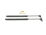 2018-2021 Lincoln Navigator Rear Left Right Liftgate Support Cylinder Strut. Fixed Price $49.99.