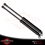 Pair Lift Support Gas Strut Shock Springs Prop Fits 01-06 Bmw 525I SG402050. Fixed Price $19.99.