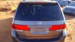 Trunk/hatch/tailgate Canada Market Fits 08-10 Odyssey 263416. Fixed Price $849.14.