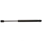 Trunk Lid Lift Support Strong Arm 4069. Fixed Price $48.99.
