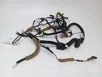 2009-2010 Nissan Rogue Rear Tailgate Wire Harness Oem. Fixed Price $36.89.
