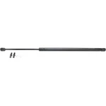 Support For 2003-2011 Honda Element Liftgate Driver Passenger Side. Fixed Price $24.06.