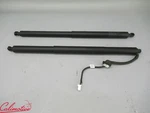 Tesla Model Y Liftgate Trunk Struts Shocks 1500602-00-A 1500601-00-A. Fixed Price $350.00.