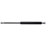 Door Lift Support Fits 1981-1983 Delorean Dmc 12 Strong Arm. Fixed Price $38.78.