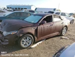 Burgundy W/cam W/lights Oem 16-18 Optimakia. Fixed Price $225.00.