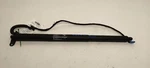 Hatchback Strut Oem 2016 Bmw X3 7432742. Fixed Price $75.00.