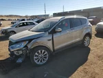 Right Hatchback Strut Oem 2017 Ford Escape. Fixed Price $75.00.