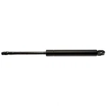 Trunk Lid Lift Support Strong Arm F4025. Fixed Price $25.17.