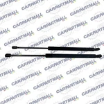 2010 2011 Honda Accord Crosstour Rear Trunk Lock Strut Shock Pair 74870-TP6-A012. Fixed Price $50.97.