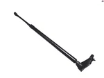 Tailgate Liftgate Passenger Shock Strut Support Nissan Rogue 2021-2025 Oem. Fixed Price $36.00.