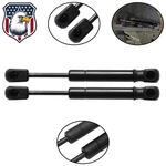 For Dodge Charger Chrysler 300 2011-2022 Rear Trunk Tailgate Gas Shock Struts. Fixed Price $16.86.