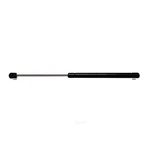 Acdelco 510-1013 Professional Lift Support Back Glass. Fixed Price $46.60.