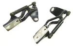 Trunk Hinges & Struts Batik Blue 95-02 Vw Cabrio Genuine 1E0 827 301 302. Fixed Price $29.99.