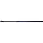 Hood Lift Support Strong Arm 4439. Fixed Price $23.15.