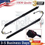 Pair Tailgate Power Liftgate Actuator Support Ford Expedition KL1Z14B351A. Fixed Price $112.00.